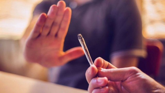 Германия ограничава онлайн продажбите на канабис заради рязък ръст на вноса след легализацията